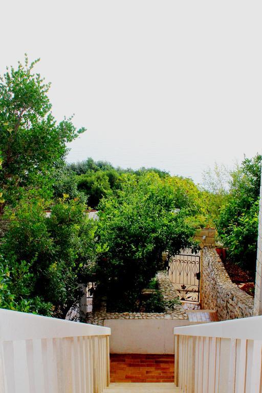 Apartments Doris Zavalatica Dış mekan fotoğraf