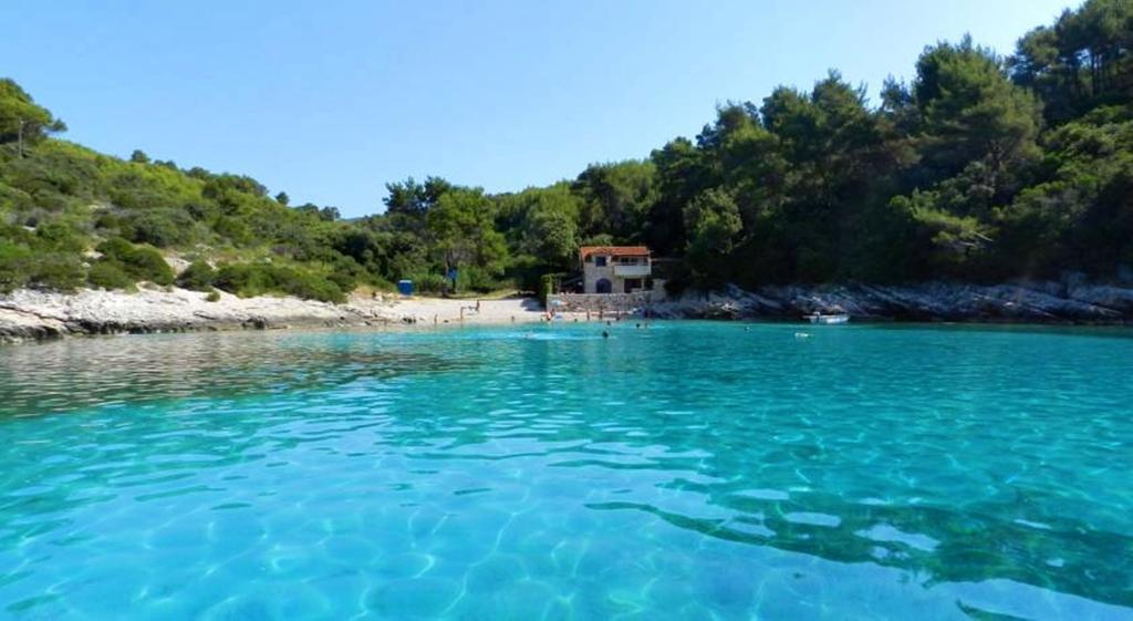 Apartments Doris Zavalatica Dış mekan fotoğraf